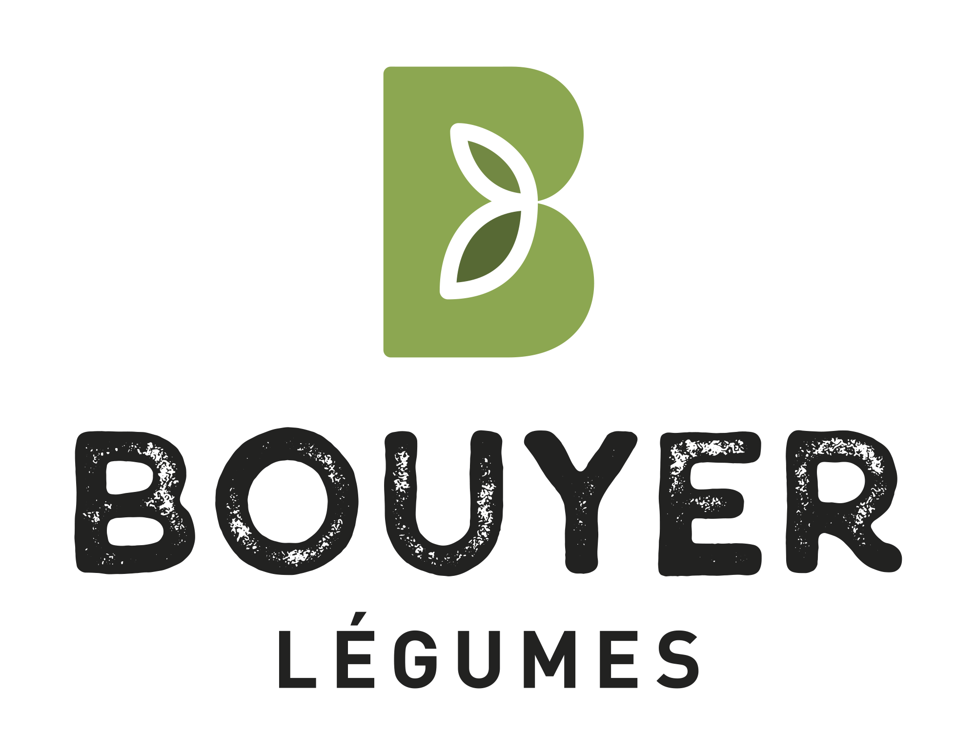 Bouyer-logo-CMJN