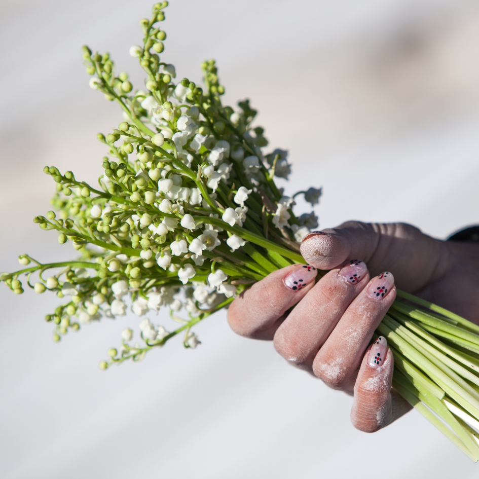 Everad-Linkedin
